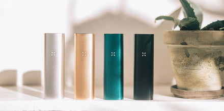 PAX Appoints Bharat Vasan CEO