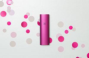 LIMITED EDITION FUCHSIA