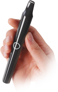 Ploom in Fortune